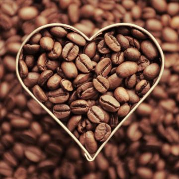 Dva základní druhy kávy – arabica a robusta